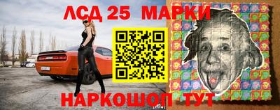 гидропоника Будённовск