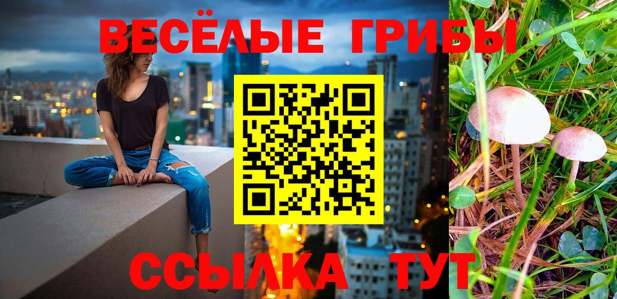 Псилоцибиновые грибы Psilocybine cubensis  Галлюциногенные грибы Cubensis  где купить наркоту  Вход с VPN  Новый Уренгой 