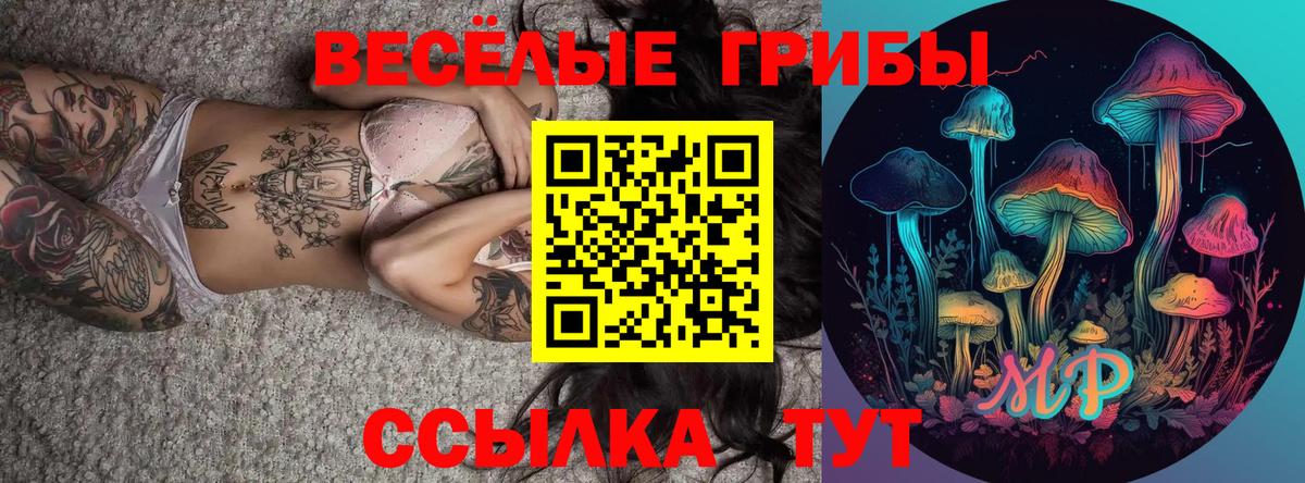Псилоцибиновые грибы Psilocybine cubensis Новый Уренгой